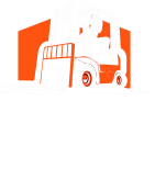 Danpol wózki widłowe